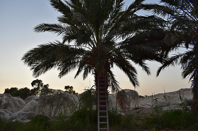 בית חגלה 22 שניים