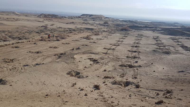 הכנת השדה לנטיעת עצים