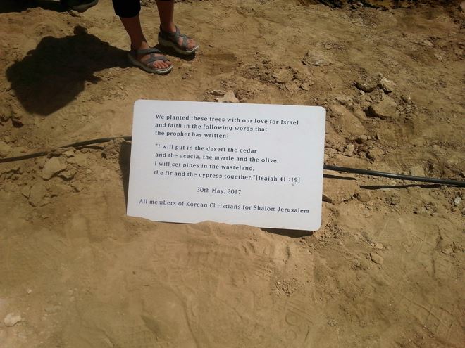 ארנה מדריכה את המתנדבים מקוריאה בבית חגלה על פני יריחו