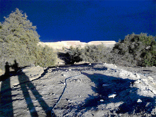 חוואר ים המלח בבית חגלה על פני יריחו