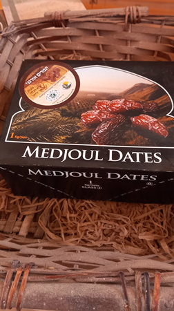 תמרים אורגניים מבית חגלה על פני יריחו