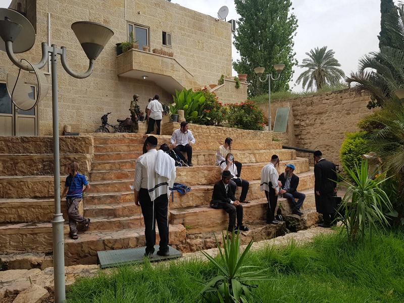 מעיין אלישע ביריחו