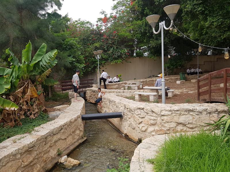 מעיין אלישע ביריחו