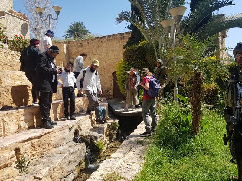 סיור חול המועד פסח - מעיין אלישע ביריחו