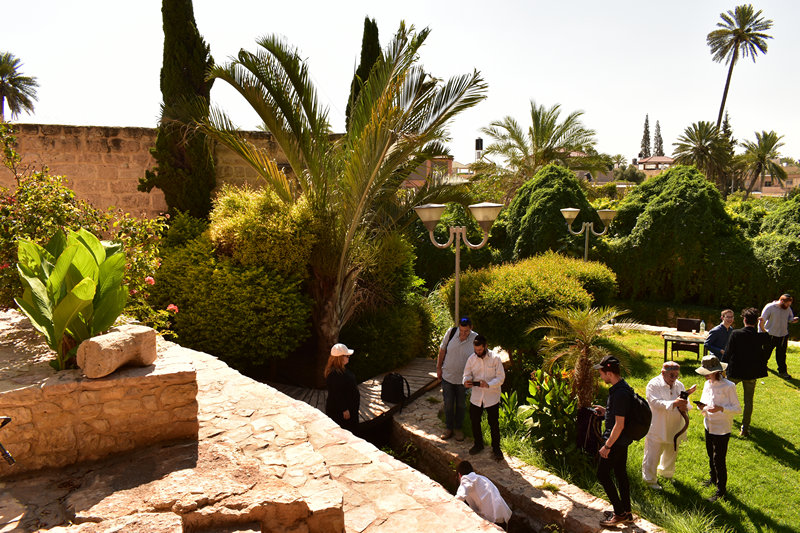 טועמים את המים המתוקים של מעיין אלישע ביריחו