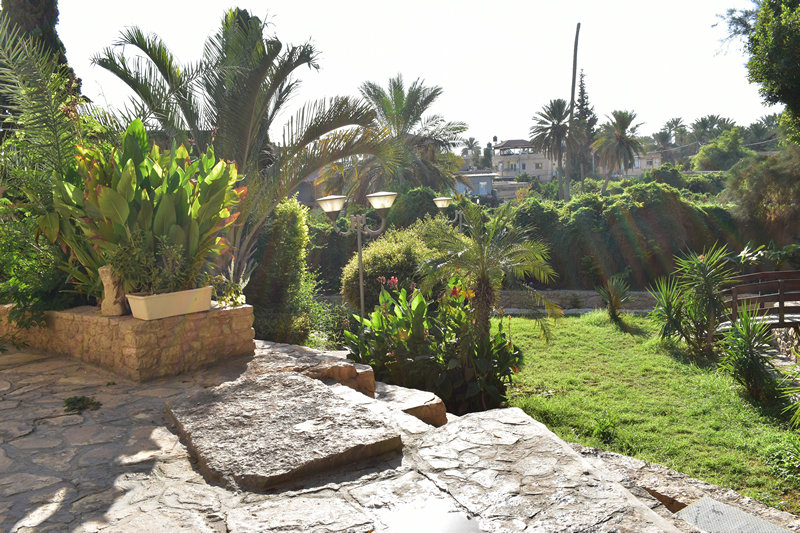 עיין אלישע ביריחו - שפע ירוק בלב מדבר