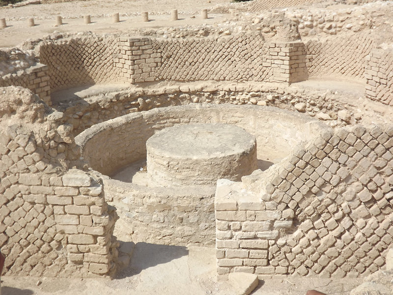 סיור סוכות בארמונות החשמונאים ביריחו