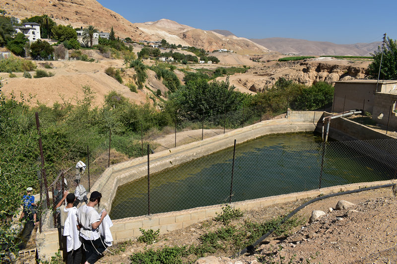 טובלים במעיין דיוק הסמוך לבית הכנסת נערן ביריחו