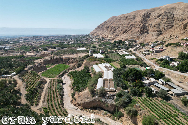 מבט מהאויר מעל נערן לכיוון דרום