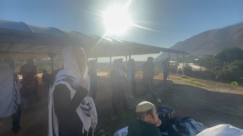 הלל מוזיקאלי בבית הכנסת העתיק נערן ביריחו