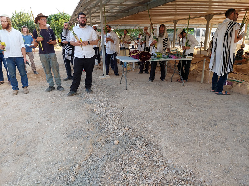 תפילה של הושענא רבה בבית הכנסת נערן ביריחו