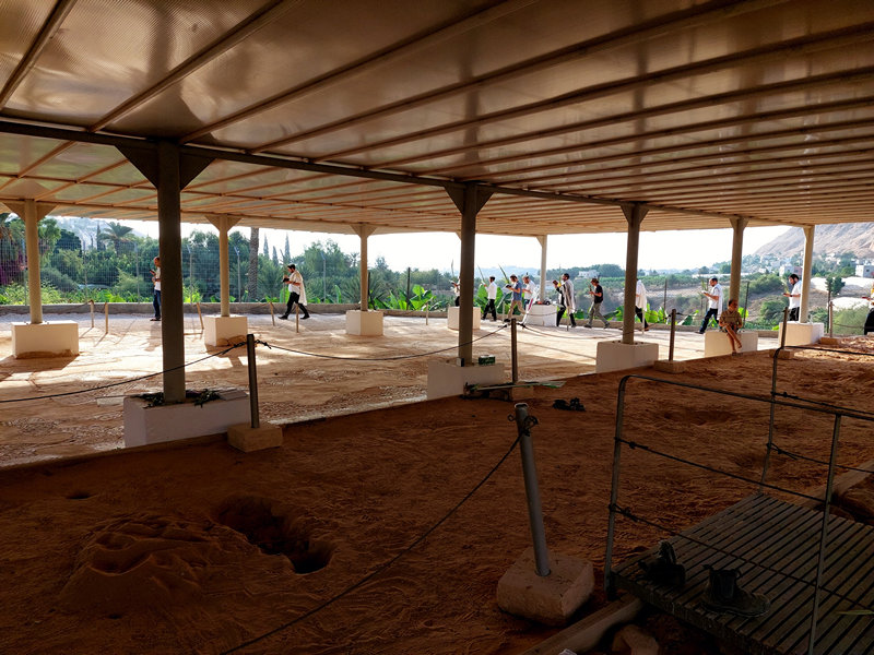 הקפות של הושענא רבה בבית הכנסת נערן ביריחו