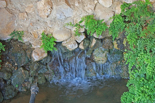 מעיינות נערן