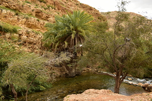 נחל ייטב צפונית ליריחו