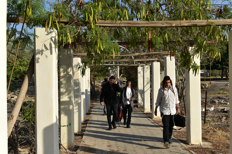 הגעה לבית הכנסת שלום על ישראל ביריחו