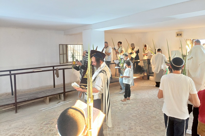 הקפות של הושענא רבה בבית הכנסת שלום על ישראל ביריחו